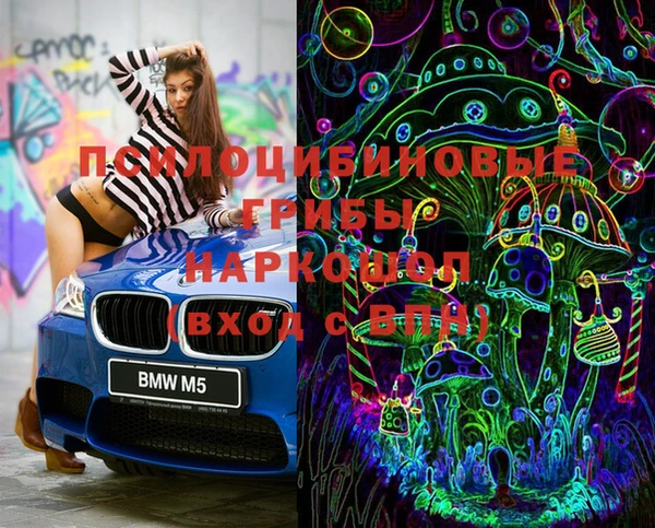 индика Балабаново
