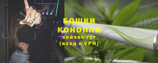 дживик Аркадак