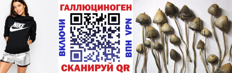 Галлюциногенные грибы мицелий Мантурово